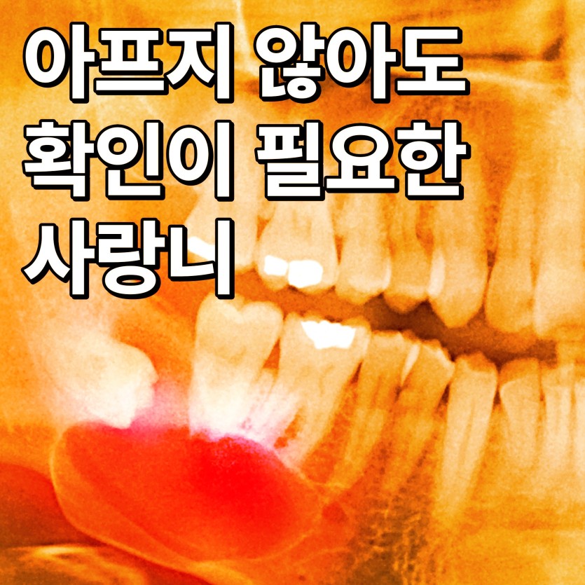9645c97945e9fdc9f3665c884ee9cb2f_1786424948_3665.jpg